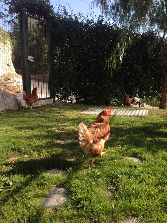 Agriturismo Da Lui บอร์ดิเกรา ภายนอก รูปภาพ