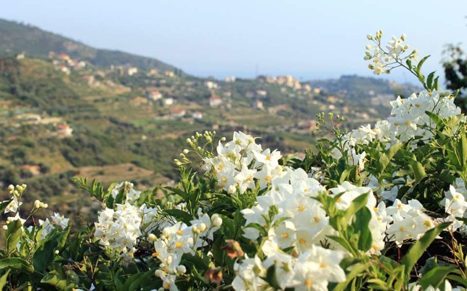Agriturismo Da Lui บอร์ดิเกรา ภายนอก รูปภาพ
